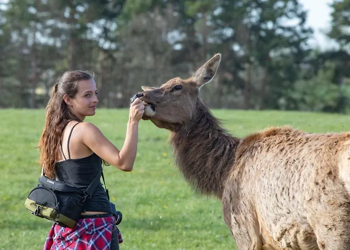 Safari - Chateau Lejlighedshotel